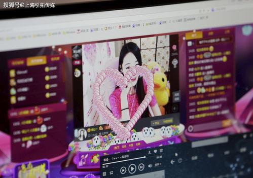 雪衣技能爆料怎么做视频  第2张